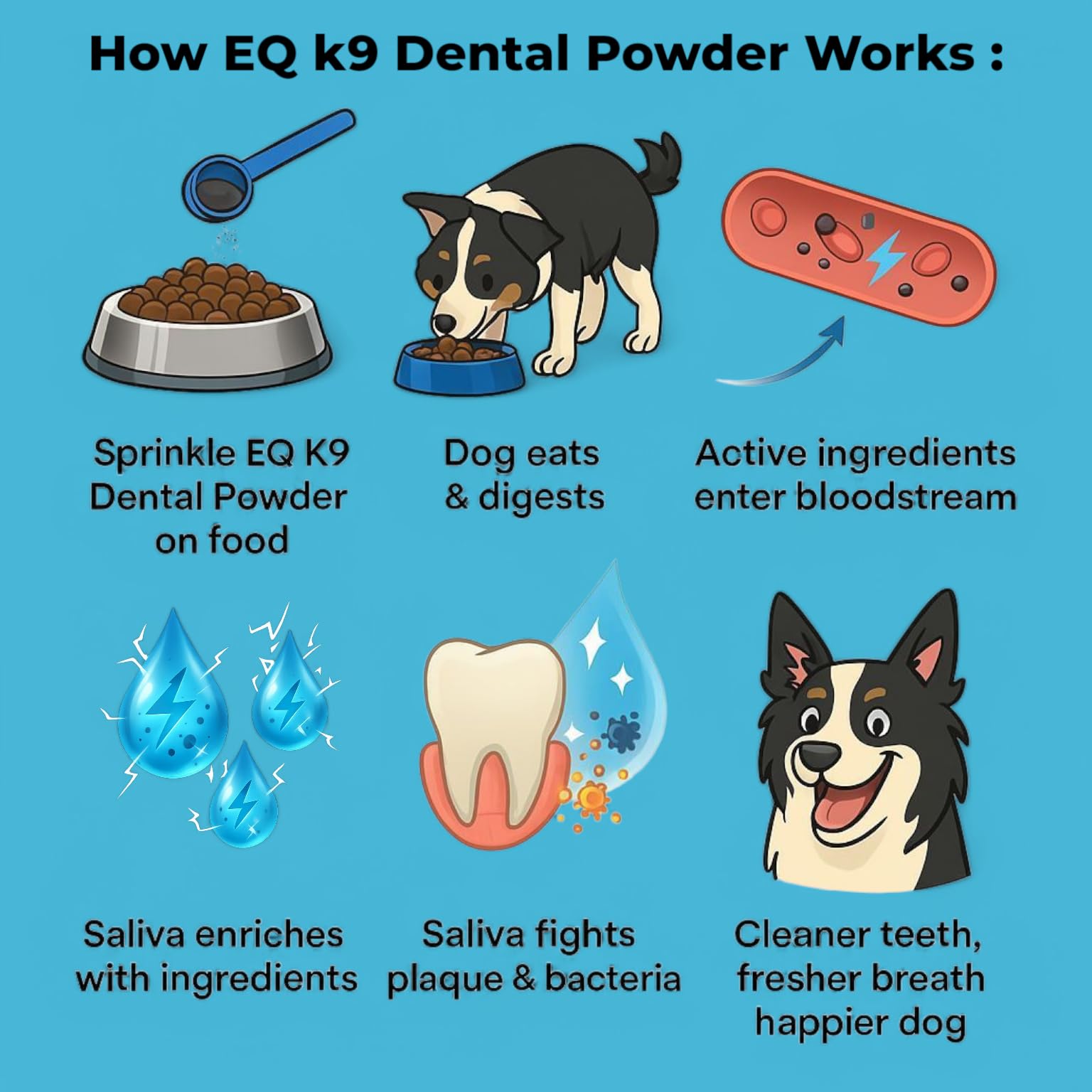 EQ K9 Plaque Off Powder for Dogs, Natural Plaque & Tartar Remover with Seaweed, Enzymes, Activated Charcoal & Zinc - Image 3