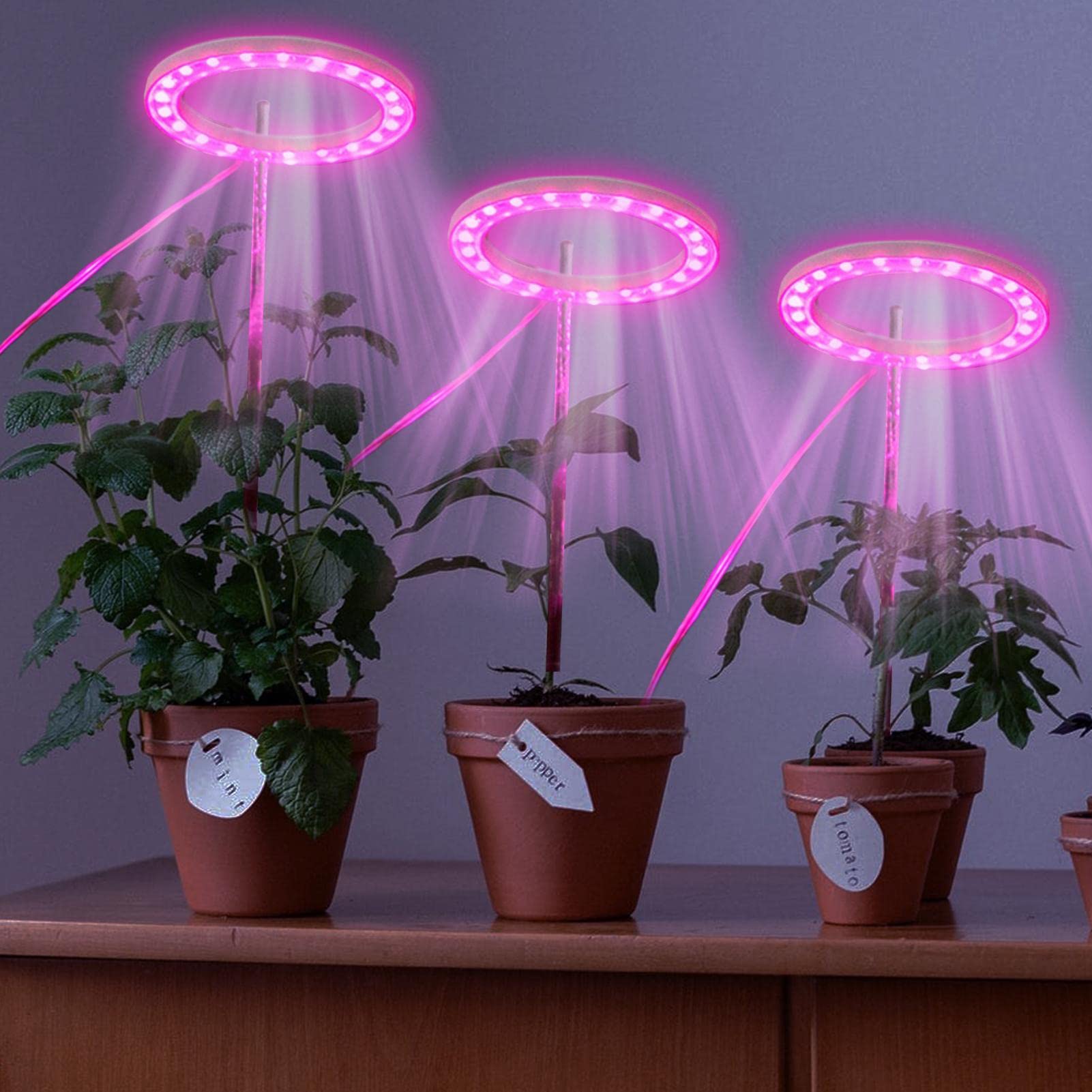 Amazon.co.jp: 植物育成ライトリング, スマート タイミング エンジェル