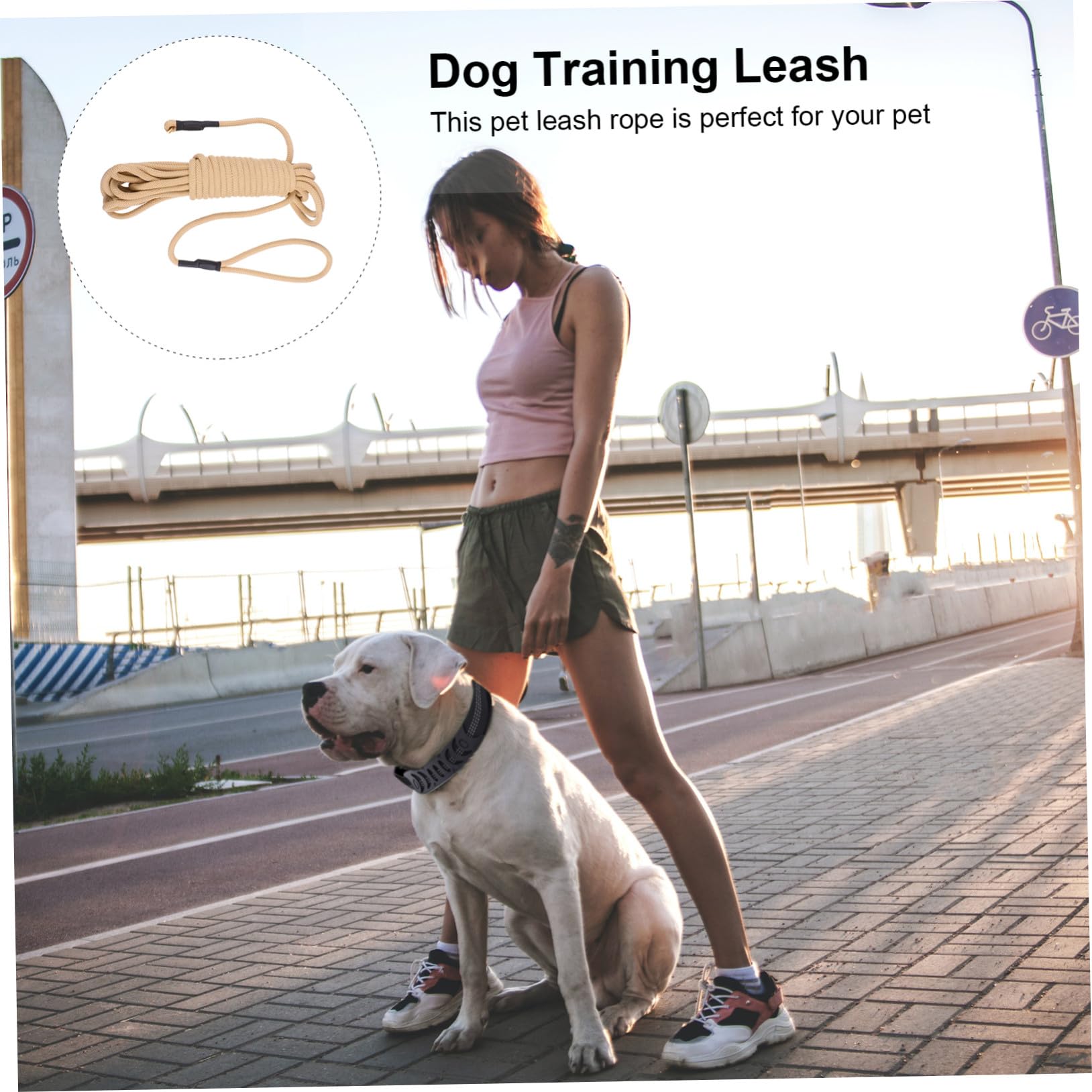 Correa para Perros Grandes Resistente y Larga de Metros Cuerda Gruesa de Polipropileno Duradera para Entrenamiento y Paseos al Aire con Gancho Fácil de Usar
