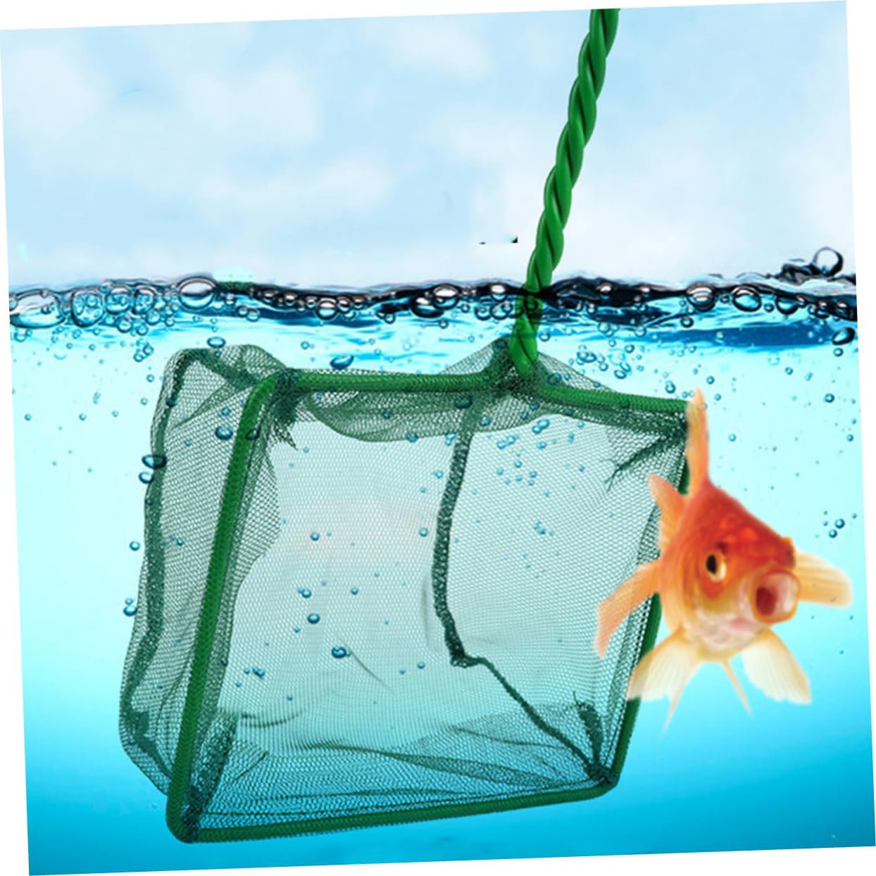 8 Pcs Fishnet Turtle Tank Cleaner Aquarium Fish Net Fishing Kit Mesh Fish Catching Net Tools Shrimp