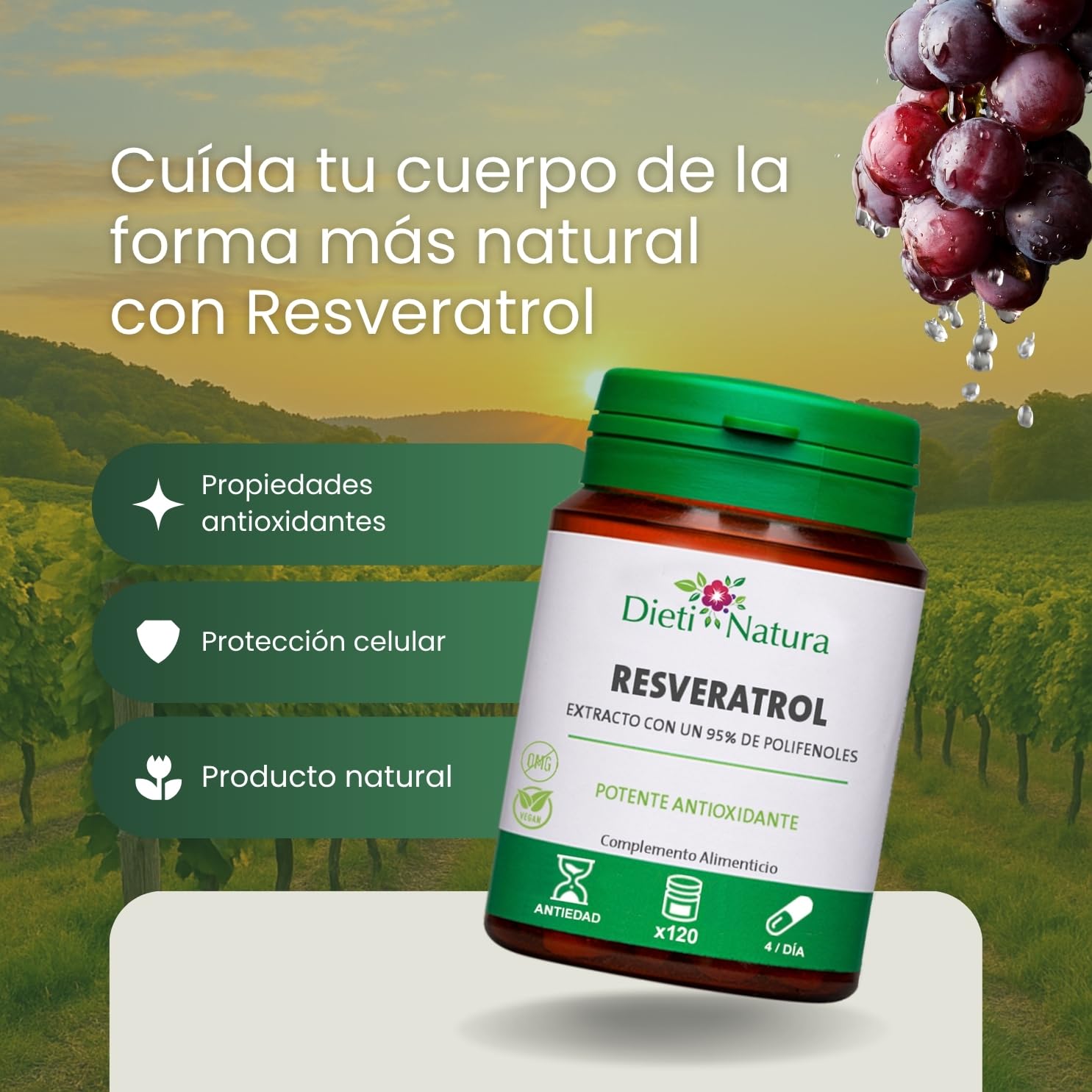 Dieti Natura Trans-Resveratrol 360 Cápsulas de Origen Vegetal - Resveratrol Antioxidante y Antiedad - Extraído de la Piel de Uvas Rojas con Polifenoles Naturales - Antioxidante Potente