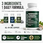 ALL-IN-ONE Ashwagandha 6000mg with L-Theanine 200mg & Magnesium Bisglycinate Chelated – Stress, Sleep, Mood, Calm & Relaxation Support – Non-GMO Vegan – 120 Capsules, 4 Month Supply – 1 Capsule Daily – Made in Canada