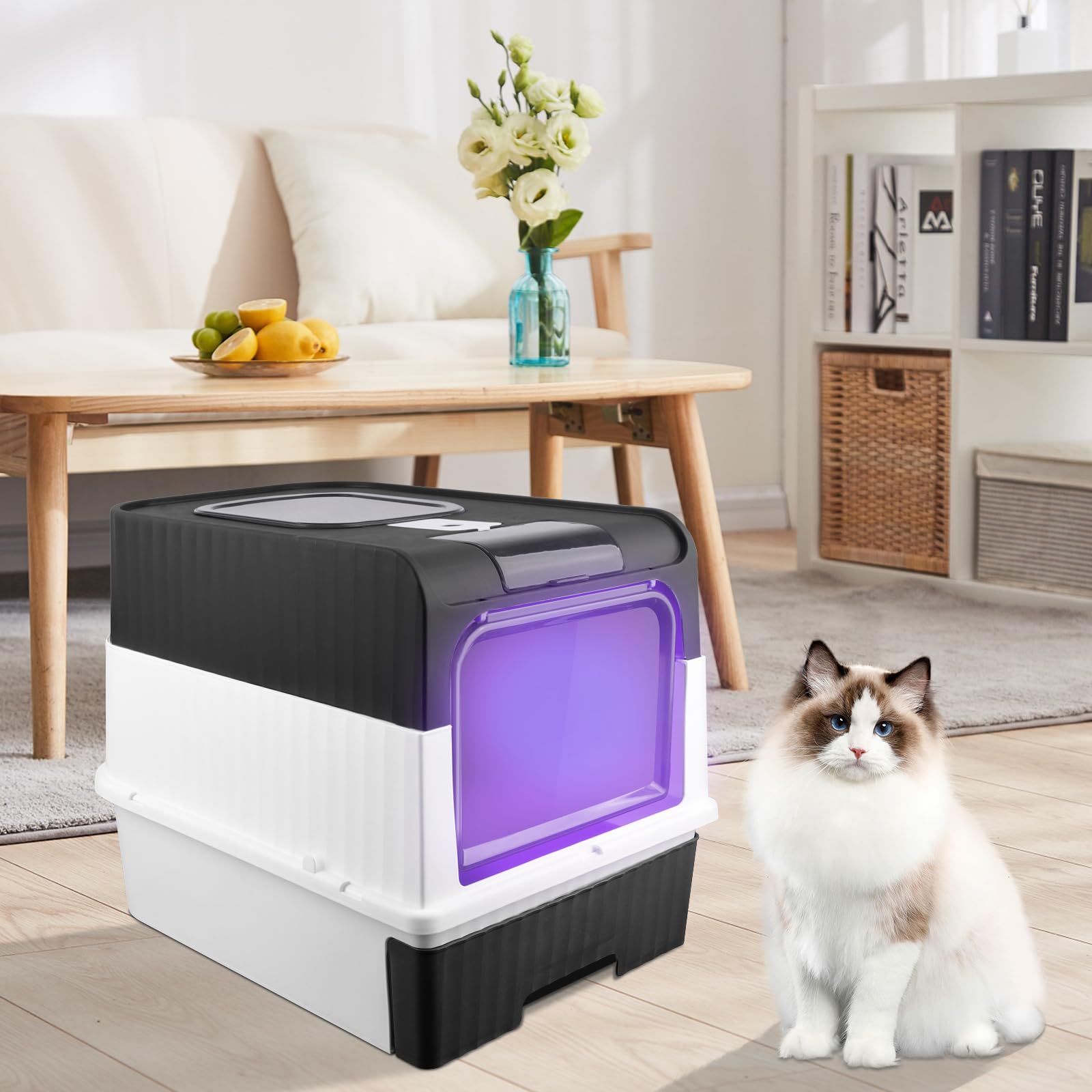 Nest-Robot 3 Connect zelfreinigende kattenbak voordelig online bestellen