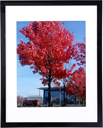 Vista 123 de Medog Marco de póster de 24 x 36 pulgadas, color negro, paquete de 2 marcos para fotos de 24 x 36 pulgadas, marco de galería de estudio, marco de 2P