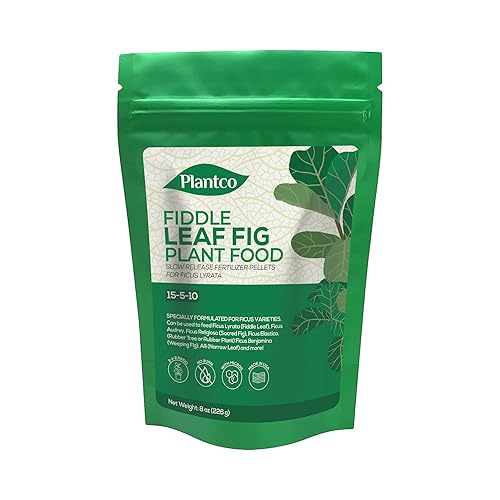 Fiddle Leaf Fig Tree Plant Food by Plantco Fiddle Leaf Fig Tree Plant Food by Plantco