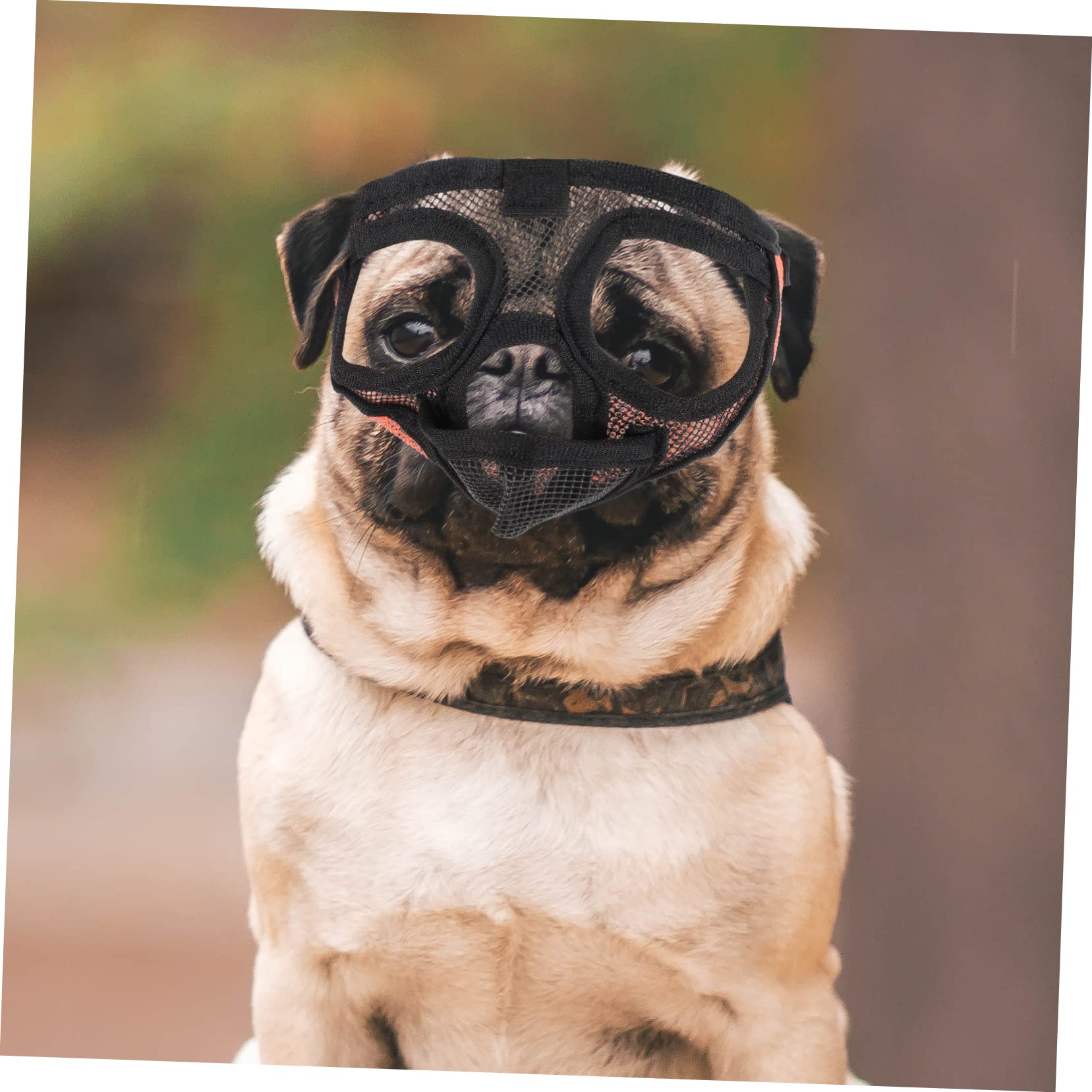 BESPORTBLE 4 Piezas Bozal para Exteriores Máscara De Perro De Malla Bozal De Cabeza De Perro Boca De Mascota Perro De Malla De Polivinilo Cachorro Suave
