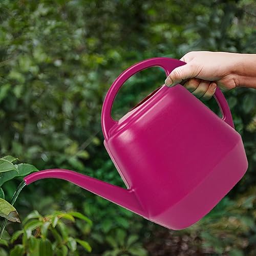Regadera de plástico con mango cómodo, latas de riego de jardín de 1 galón, regadera de boquilla larga para plantas de riego en interiores y