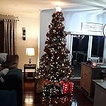 Review Image by Roy Towns Roy Towns