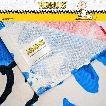 Amazon.com: Franco Collectibles Peanuts Snoopy & Woodstock