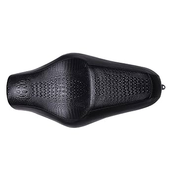 新品　SESSIONS AWESOME 147cm Amazon.com: DREAMIZER Motorcycle Driver Passenger Seat 2 Up