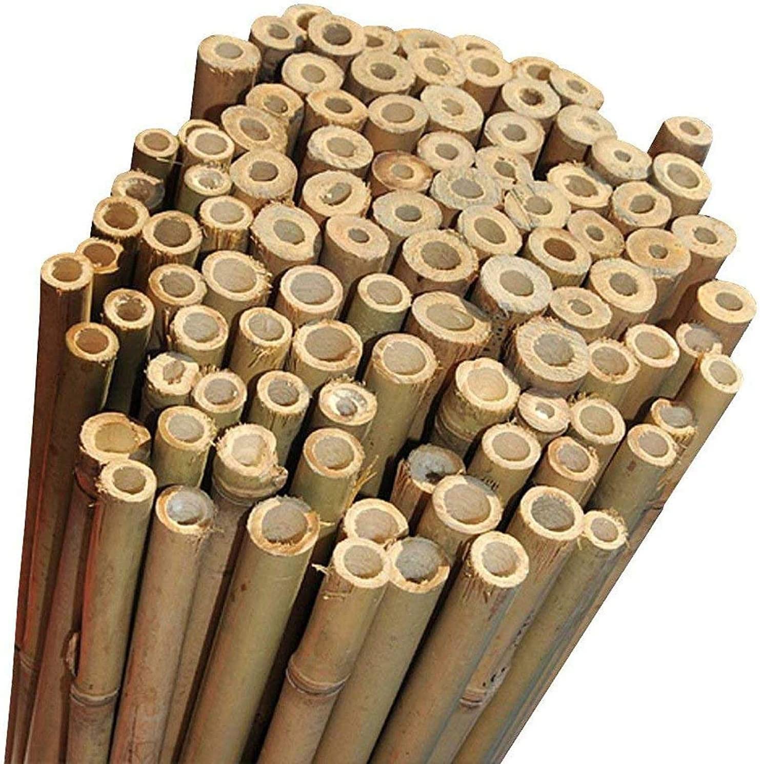 Durable and Natural Bamboo Canes - Bamboo Rods for Vegetable Garden, Tomatoes, Vegetable Support - Outdoor Bamboo - Furniture (10, H.180 cm / Ø24-26 mm) - 5