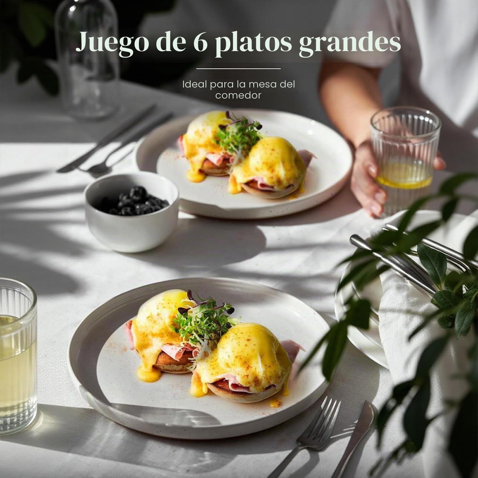 DOWAN Juego de Platos de Gres, 26cm para Servir, 6 Piezas de Porcelana, para Ensalada, Filete, Principal, Cena - Vainilla Blanca