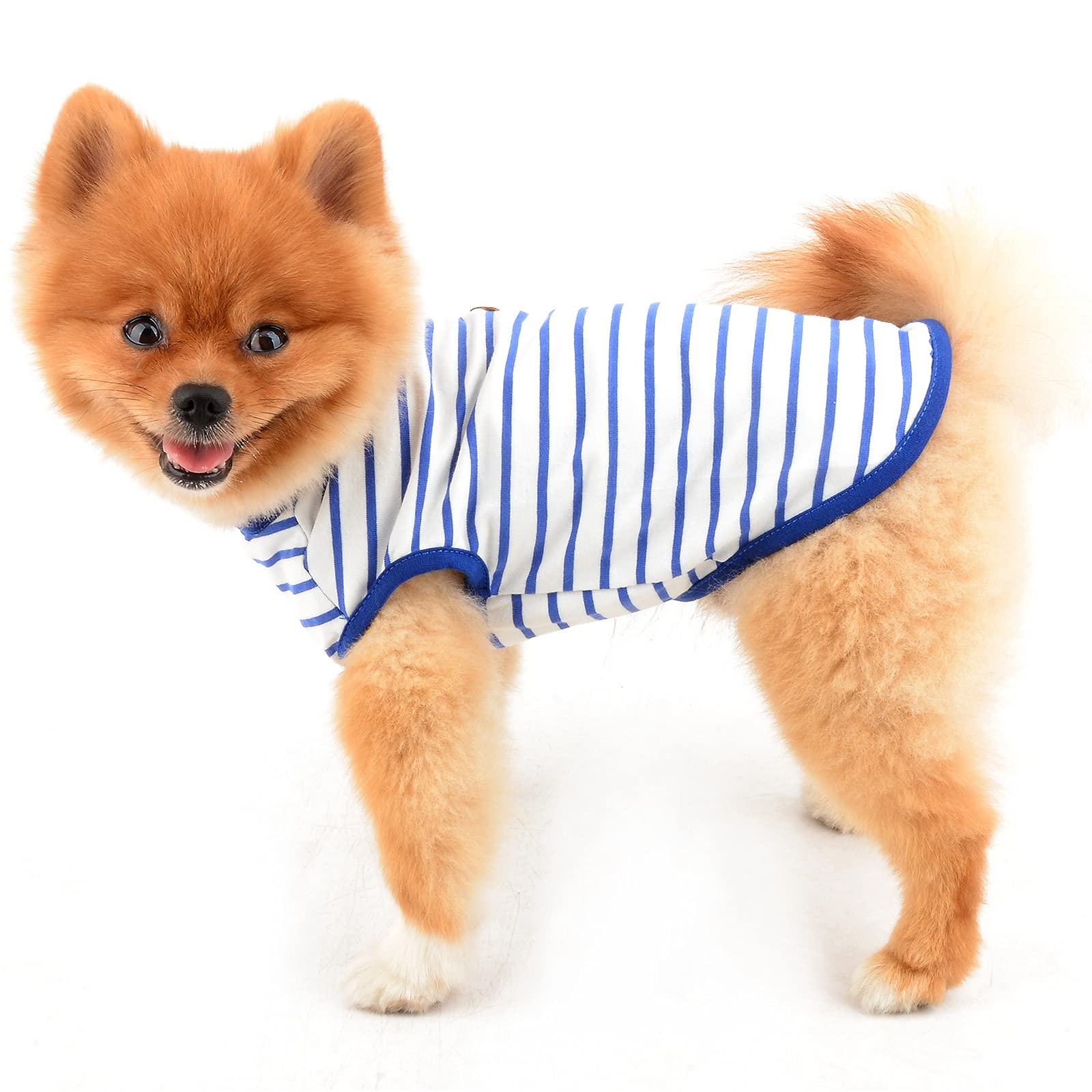 PAIDEFUL Chemise britannique pour petit chien rayée, gilet pour chat, T-shirt en coton doux pour garçon, vêtement pour animal de compagnie, T-shirt d’été pour chiot, Chihuahua, Yorkie, respirants