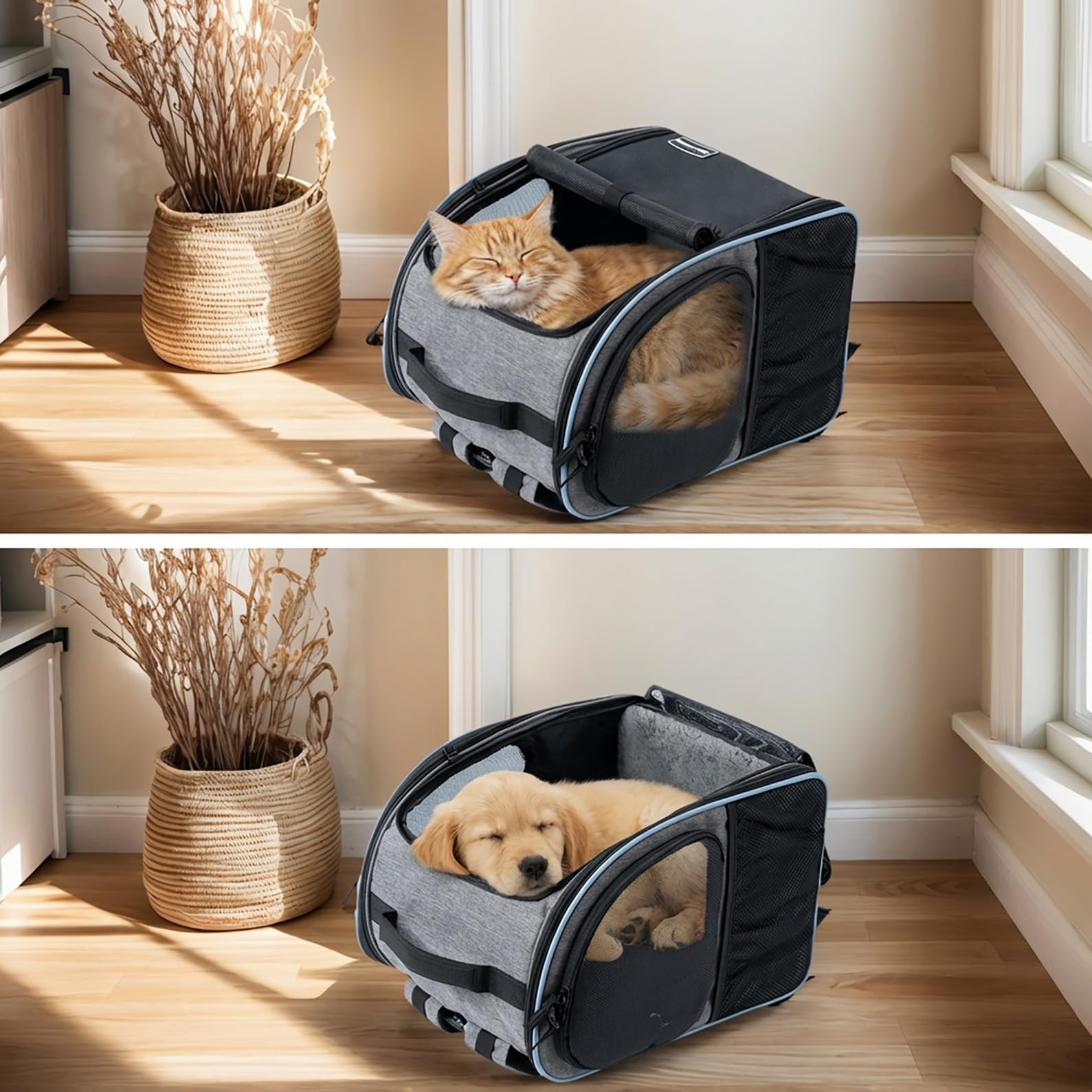 Katzenrucksack Hunderucksack für Katzen Hunde bis 6kg, Katzen Rucksack erweiterbar Hunde Rucksack Faltbare Haustier Rucksack, Grau