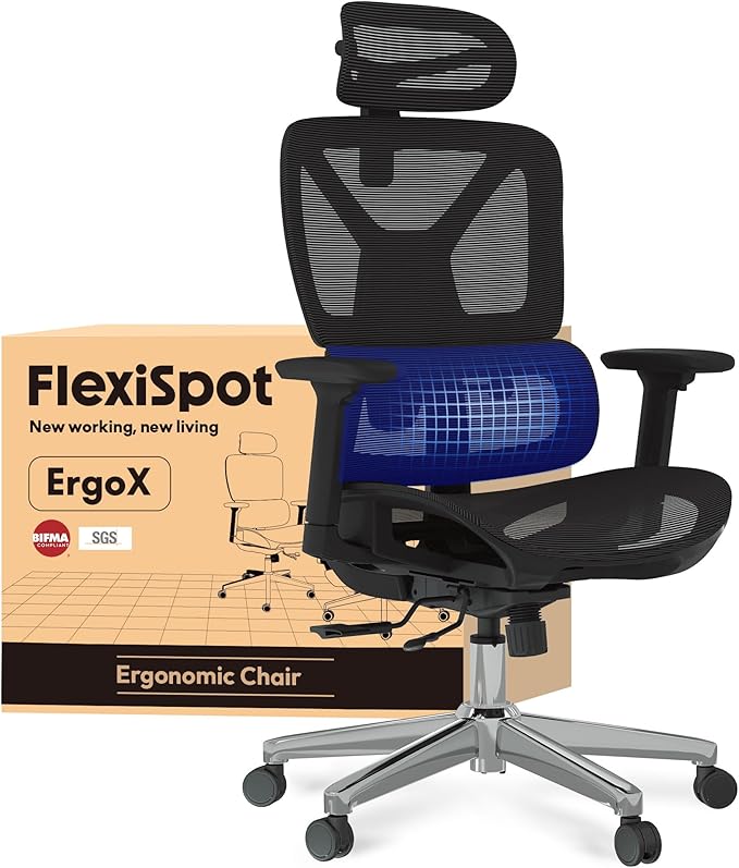 FLEXISPOT ErgoX Silla de Oficina Ergonómica con Soporte Lumbar, Respaldo 5D, Reposabrazos 3D, Cojín Transpirable, Inclinación 135°, Escritorio Ajustable, Silla de Escritorio, Negro