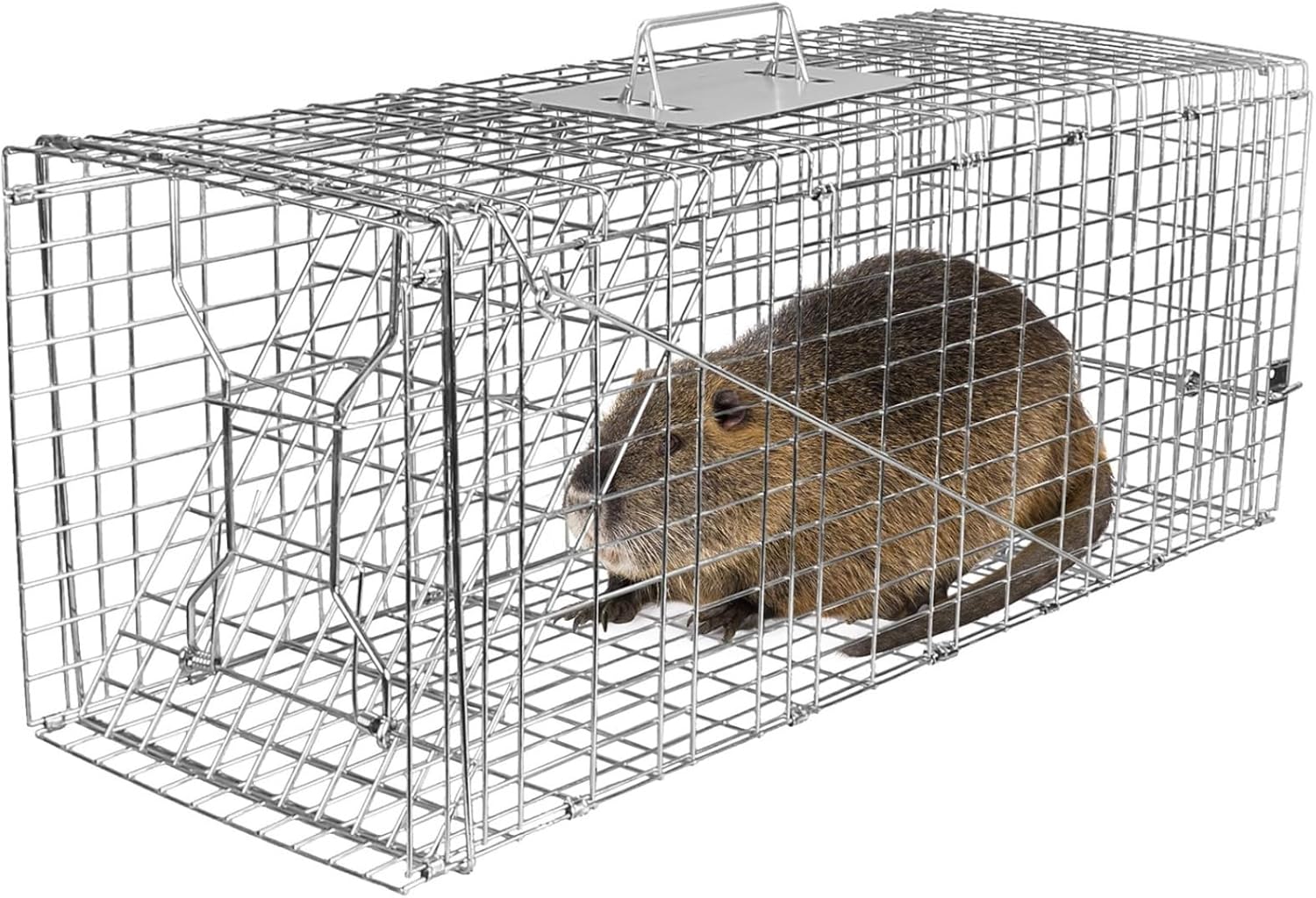 Animal Capture Cage for Cats Raccoons Squirrels Groundhogs Skunks Opossums Small Dogs Foxes Beavers Up to 16.5 lbs, Collapsible Trap with Dual Doors and Trigger Mechanism