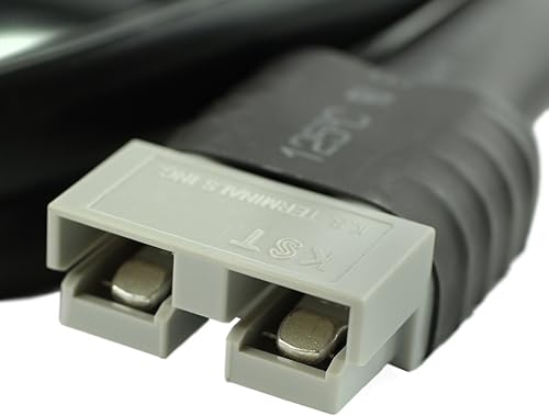 Miniatura 4 de SCHAUER Cargador de Batería Modelo JAC2024H