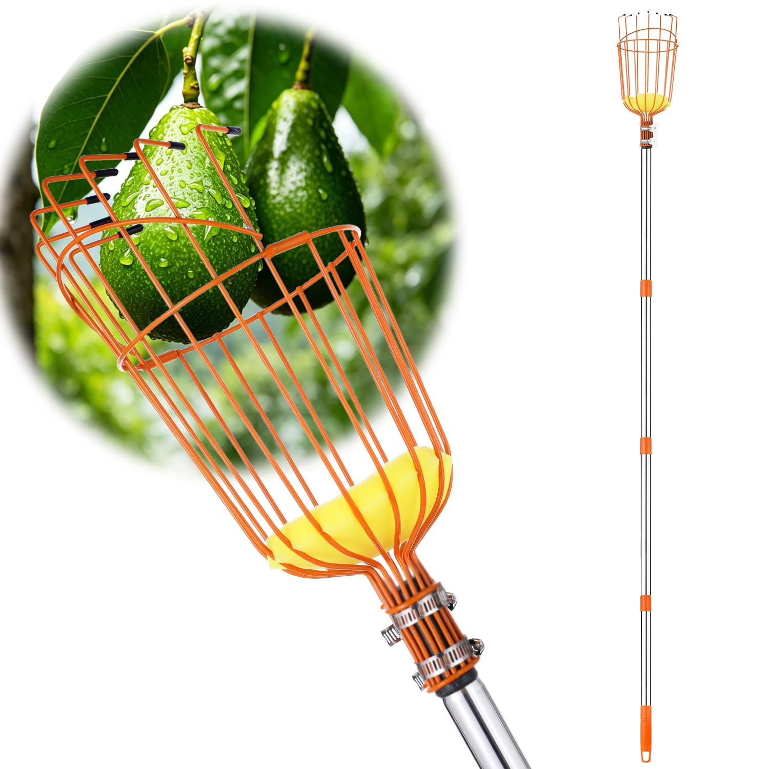 Photo 1 of ALongwujin Fruit Picker Pole Tool, 27-75 Inch Adjustable