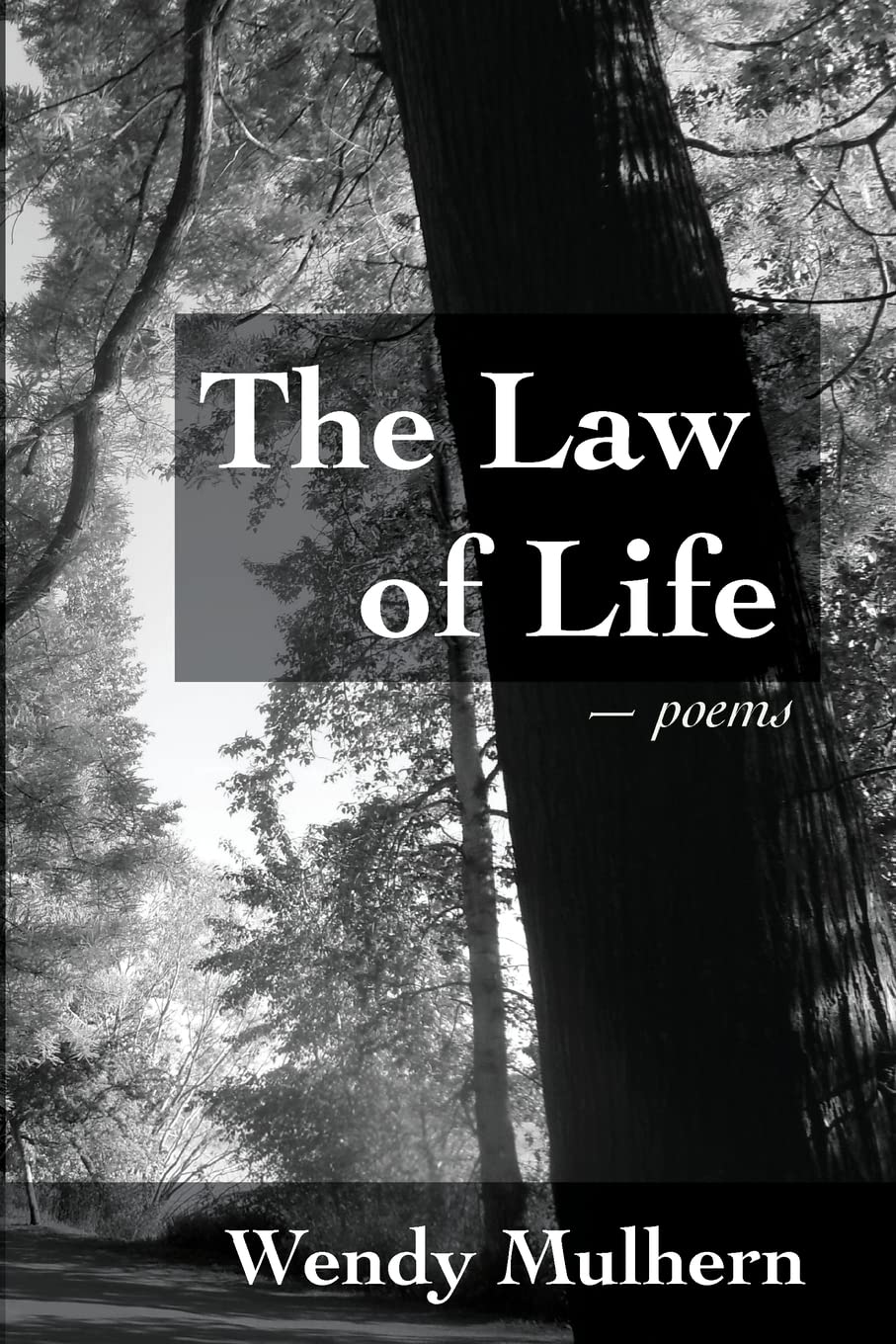The Law Of Life Plot Summary , The 48 Laws Of Power Summary and Study ...