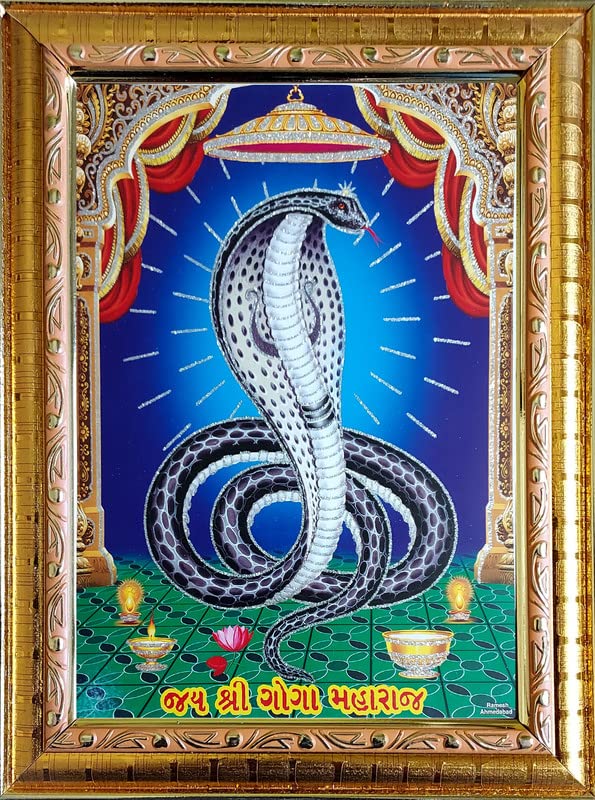 Art Jay Shree Goga Maharaj Religious Photo frame | Zari Shining Print | Golden Frame without glass | Frame for Living Room,Gift,Temple,Pooja Room,Home Décor | Size(10x12.5)