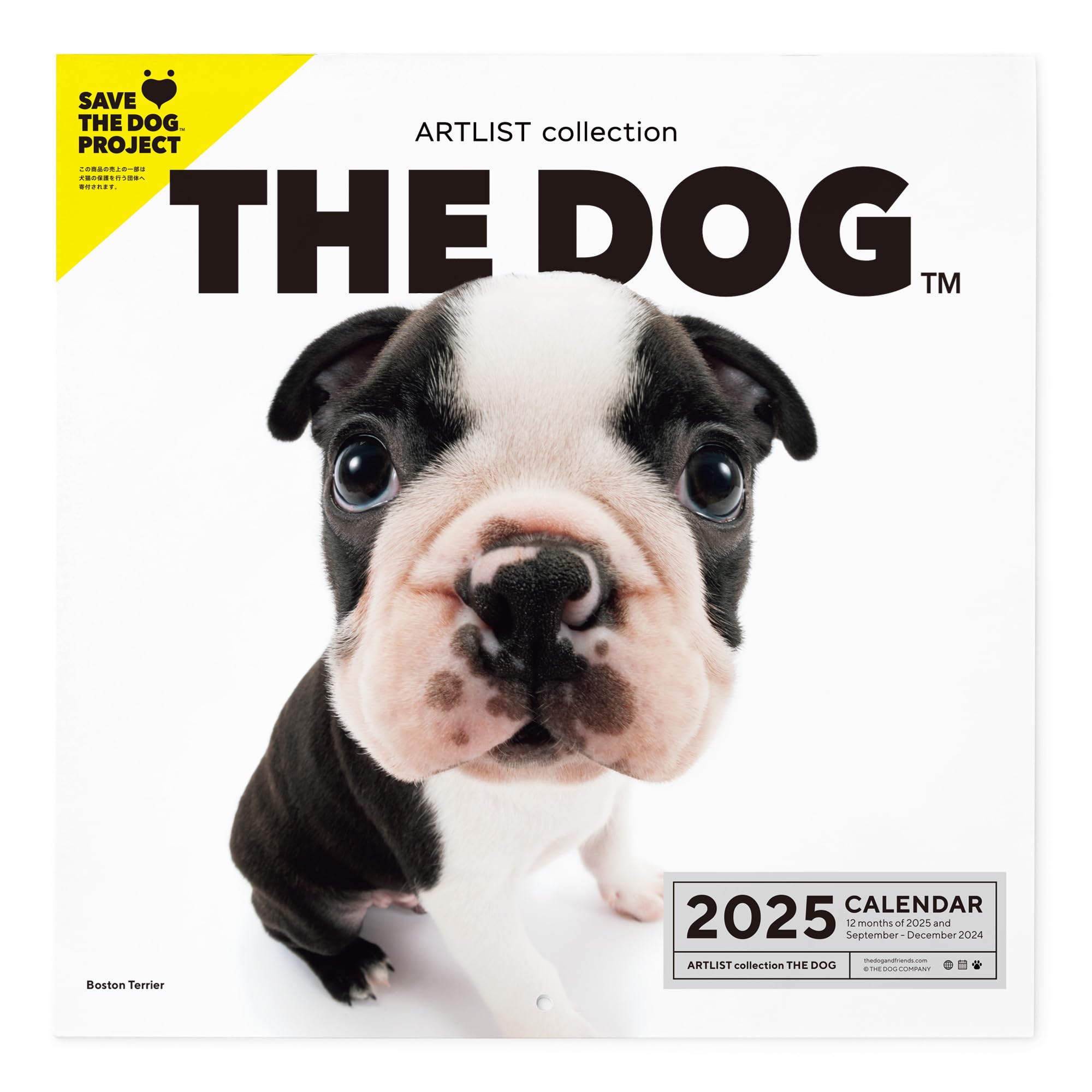 [ArtlistCollectionTHE DOG] Wall Calendar ≪Boston Terrier≫