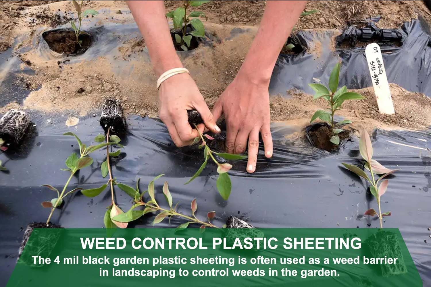 4 Mil Black Plastic Sheeting 4 FT x 100 FT Plastic Weed Barrier Landscape Fabric Heavy Duty Roll for Garden Multi Use Polyethylene Sheeting