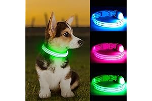 Green Lighted Collar for Small Dogs
