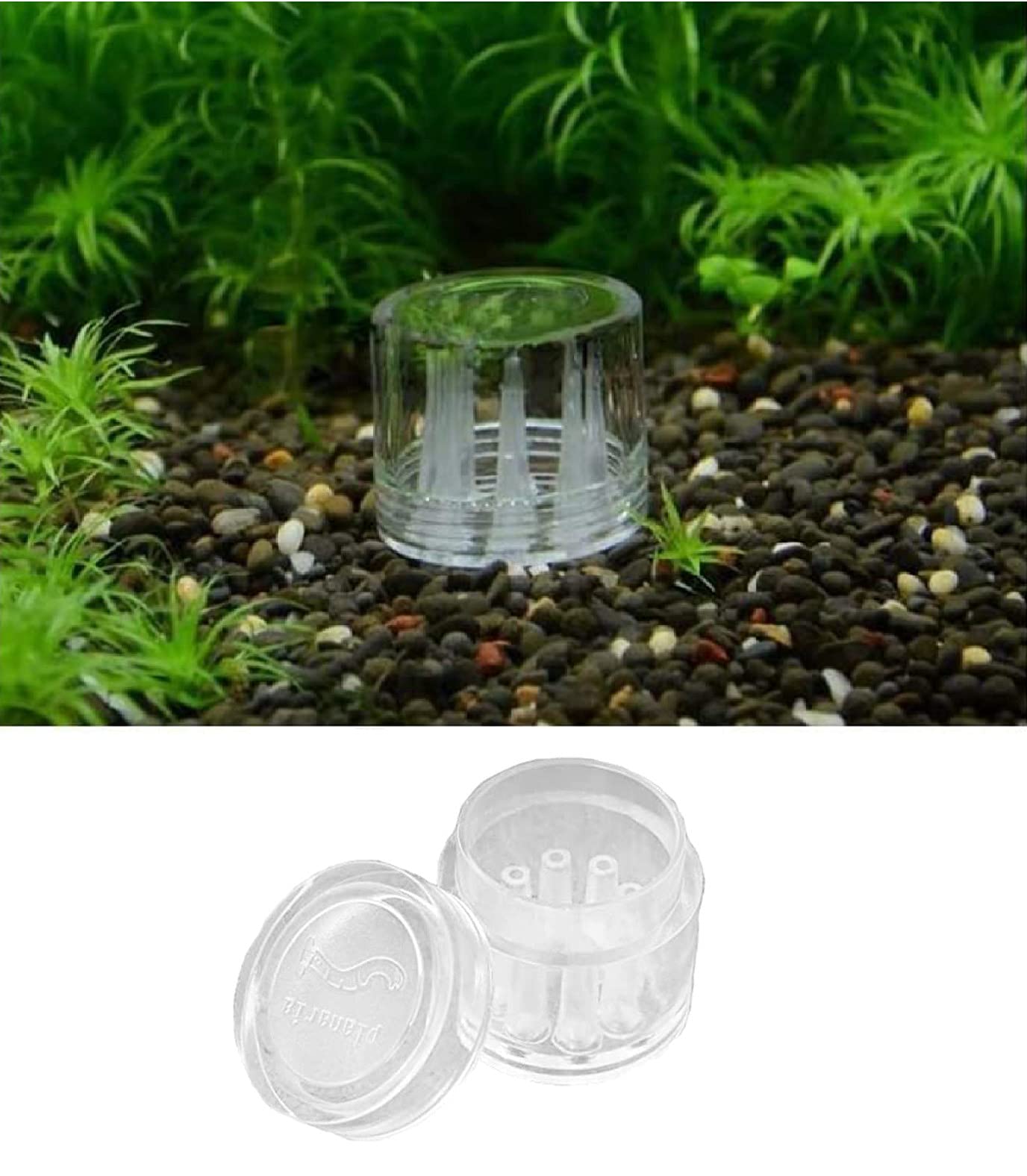 Trappole Per Planarie Acquario - 4 Pezzi Con 2, 3 E 8 Fori In Vetro E Acrilico Per Gamberetti - Foto 11