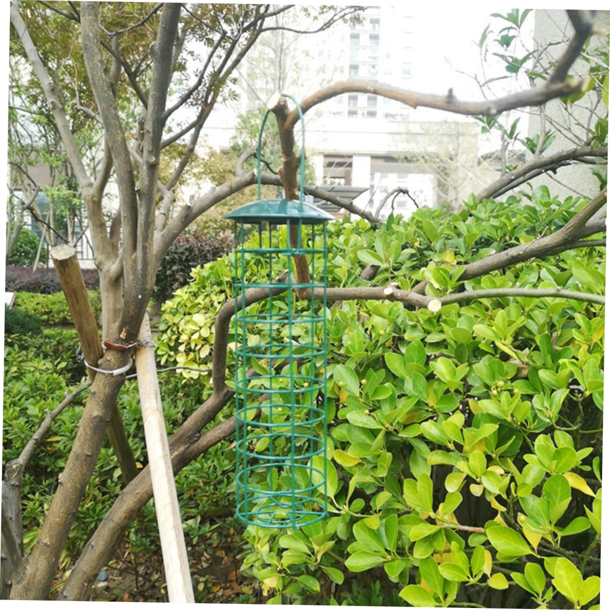 YARNOW 6pièces Mangeoire Suspendue pour Oiseaux Accessoire De Nourriture De Jardin Extérieur Distributeur De Et