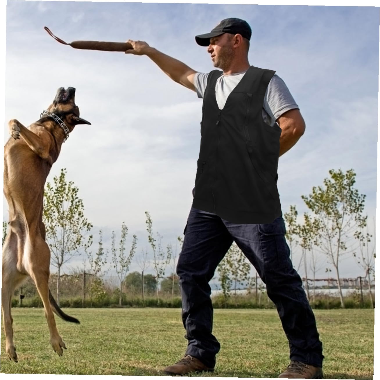 Gilet D’obéissance pour Chien Noir en Polyester Mesh Ajustable