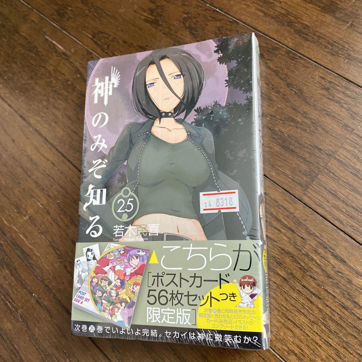 初版 神のみぞ知るセカイ 25/若木 民喜 神のみぞ知るセカイ (25