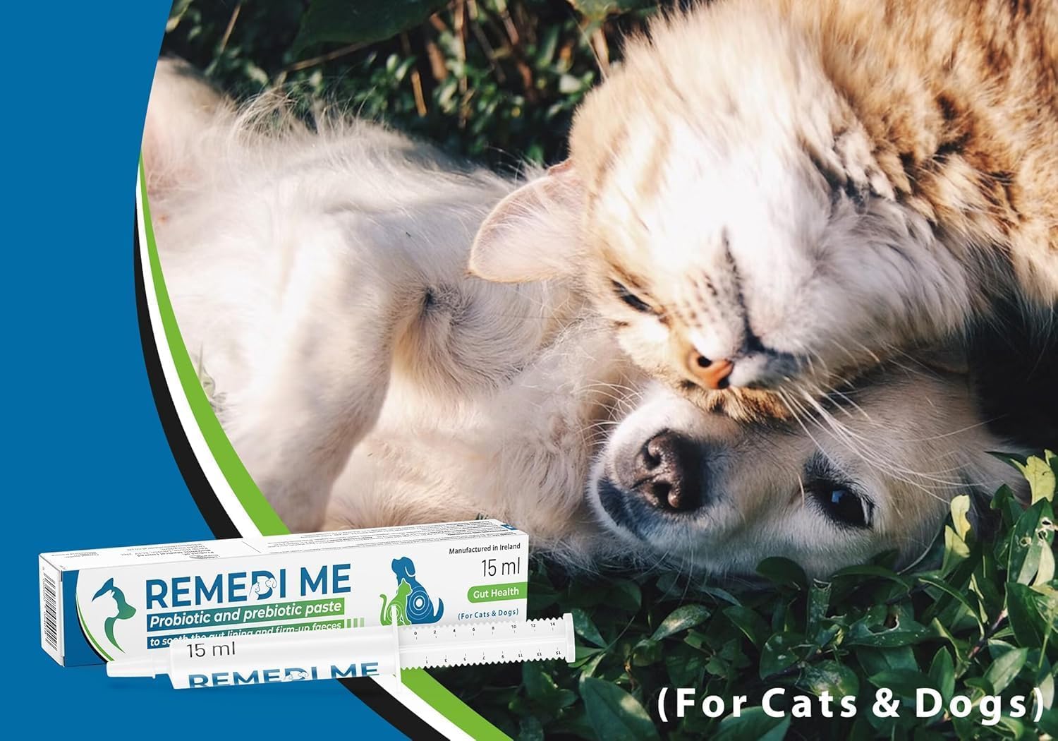 Probiotische und präbiotische Paste zur Beruhigung der Darmschleimhaut und zur Festigung des Kots – für Hunde und Katzen (30 ml)