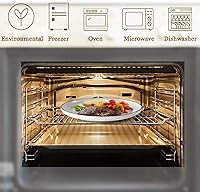 Vista 4 de Platos de cerámica de 10 pulgadas, platos clásicos de porcelana redonda blanca con borde de línea negra para carne, pasta, pizza, restaurante, juego