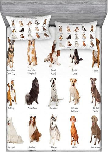 Miniatura 67 de Ambesonne - Juego de sábanas bajeras y fundas de almohada, diseño clásico botánico, plantas de jardín vintage, juego de 3 piezas con estampado