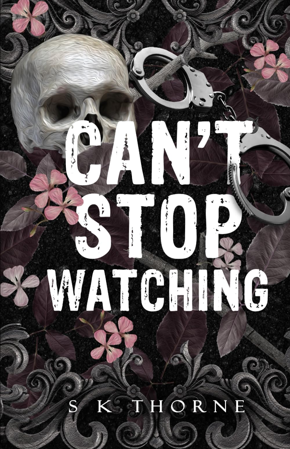 Can't Stop Watching: A Dark Stalker Romance (Dark Hunters)