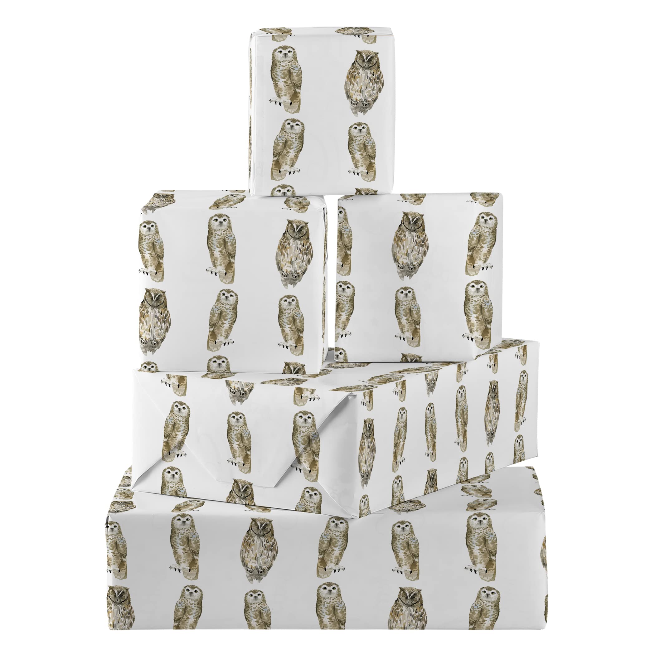 Hunts England - 5 Sheets Of Owl Birthday Fun Wrapping Paper For Him Or Her - Includes 5 Gift Tags - Countryside Collection - Bird Of Prey Gift Wrap For Boys, Girls, Kids, Men, Women, etc.