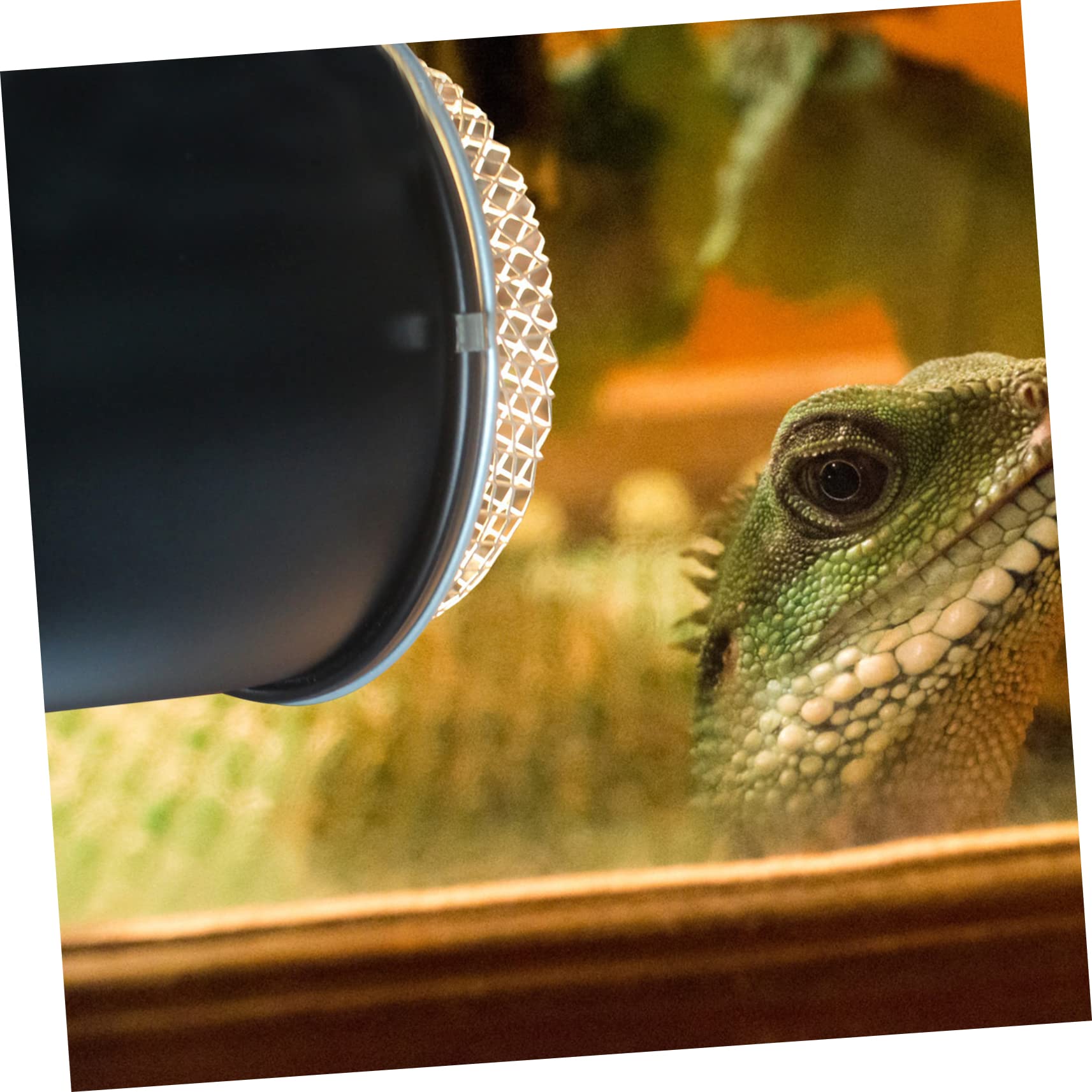 VANZACK 4pezzi Lampada Per Rettili Con Paralume Di Protezione Copertura Scaldante Per Tartarughe Lucertole e Altri Animali Domestici Installazione Facile e Sicura Struttura