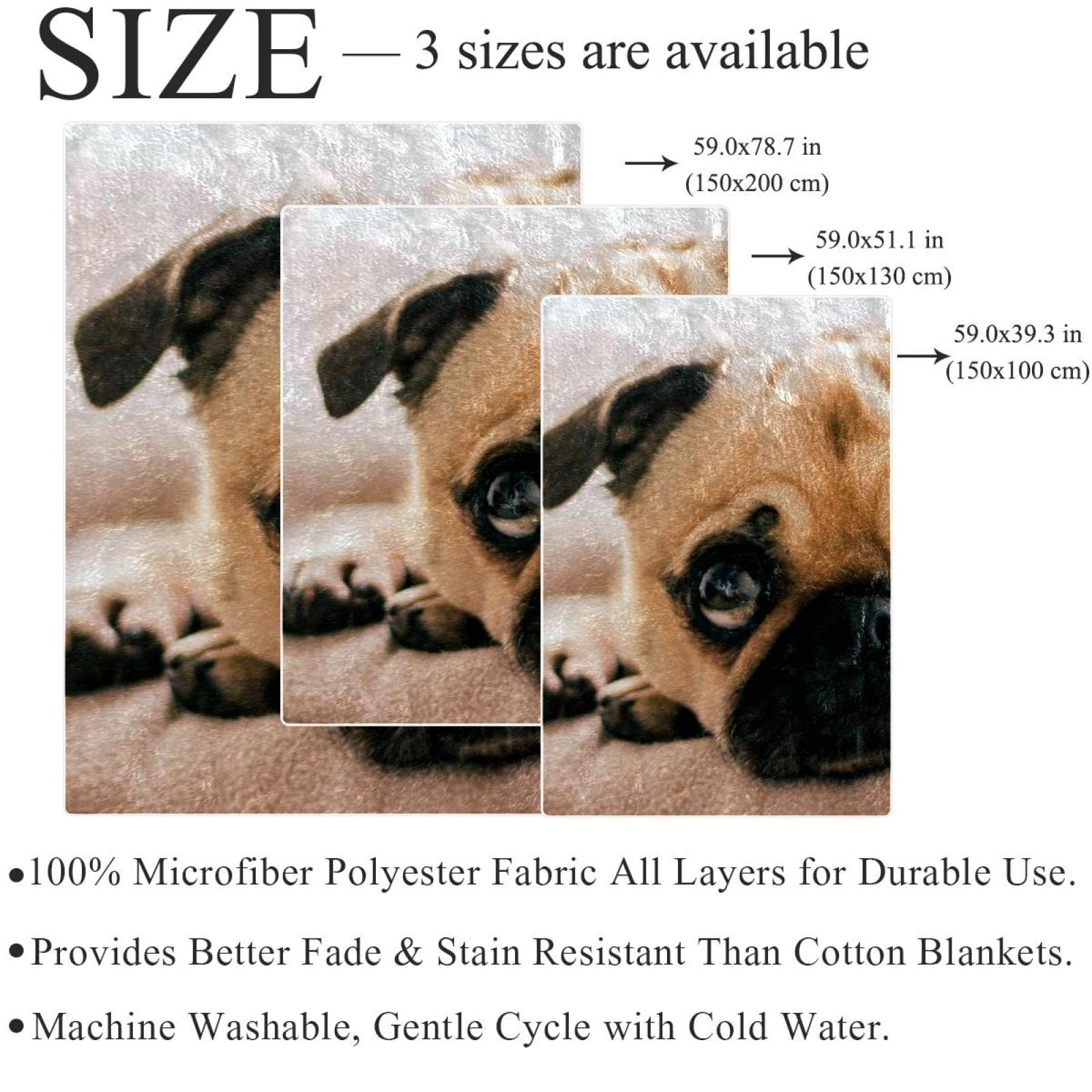 Couverture polaire légère en peluche pour chien carlin pour canapé