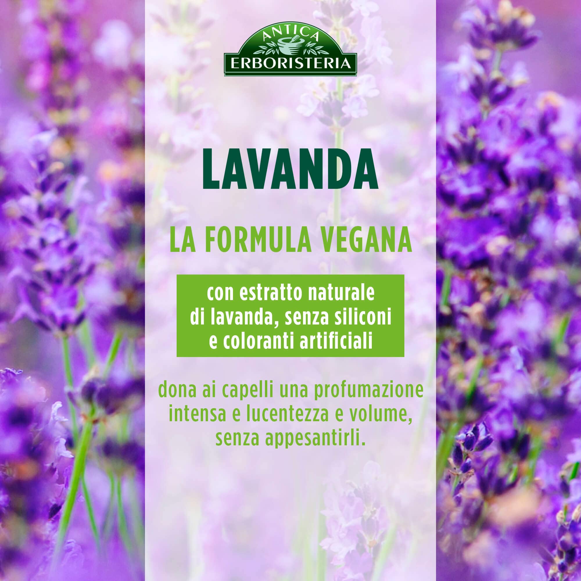 Antica Erboristeria Shampoo Illuminante Lavanda E Erbe Della Provenza, Shampoo Per Capelli Normali, Con Ingredienti Naturali, 12 Pezzi x 250 ml
