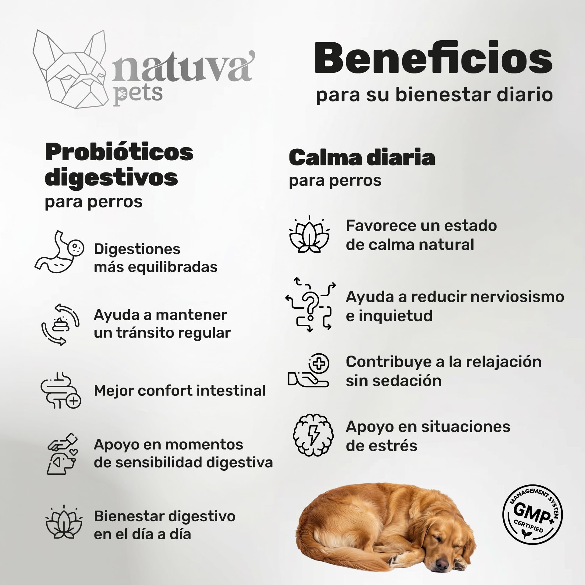 Probiótico para Perros + Calmante para Perros - Pack Suplementos para Perros - Flora Intestinal, Digestión, Estrés y Ansiedad - con Prebióticos, Probióticos, Ashwagandha, Melisa y Valeriana - Natuva