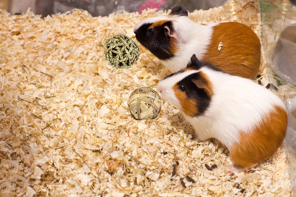 24-teiliges Kauspielzeug-Set Für Hamster & Co. – Natürliches Holz, Zahngesund