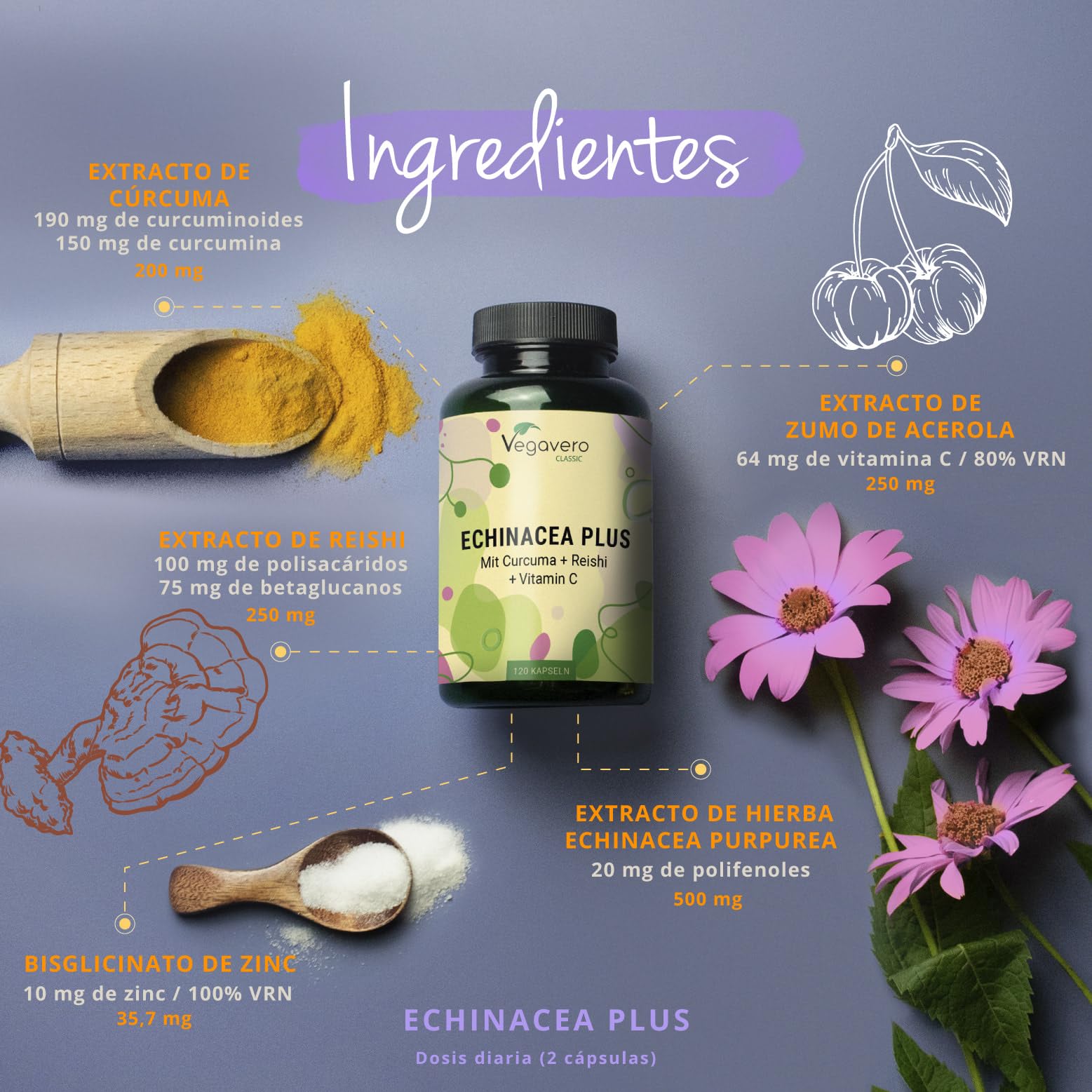 Equinácea Complex Vegavero | Vitamina C + Reishi + Cúrcuma + Zinc | Sistema Inmunitario | Vegano & Sin Aditivos | 120 Cápsulas