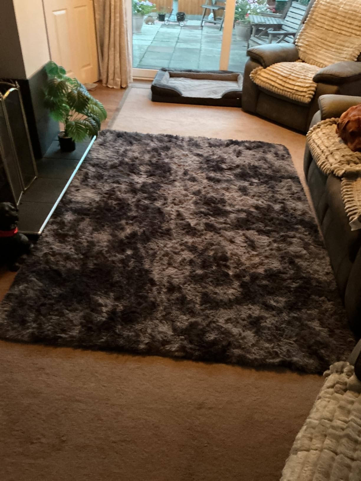 Customer photo