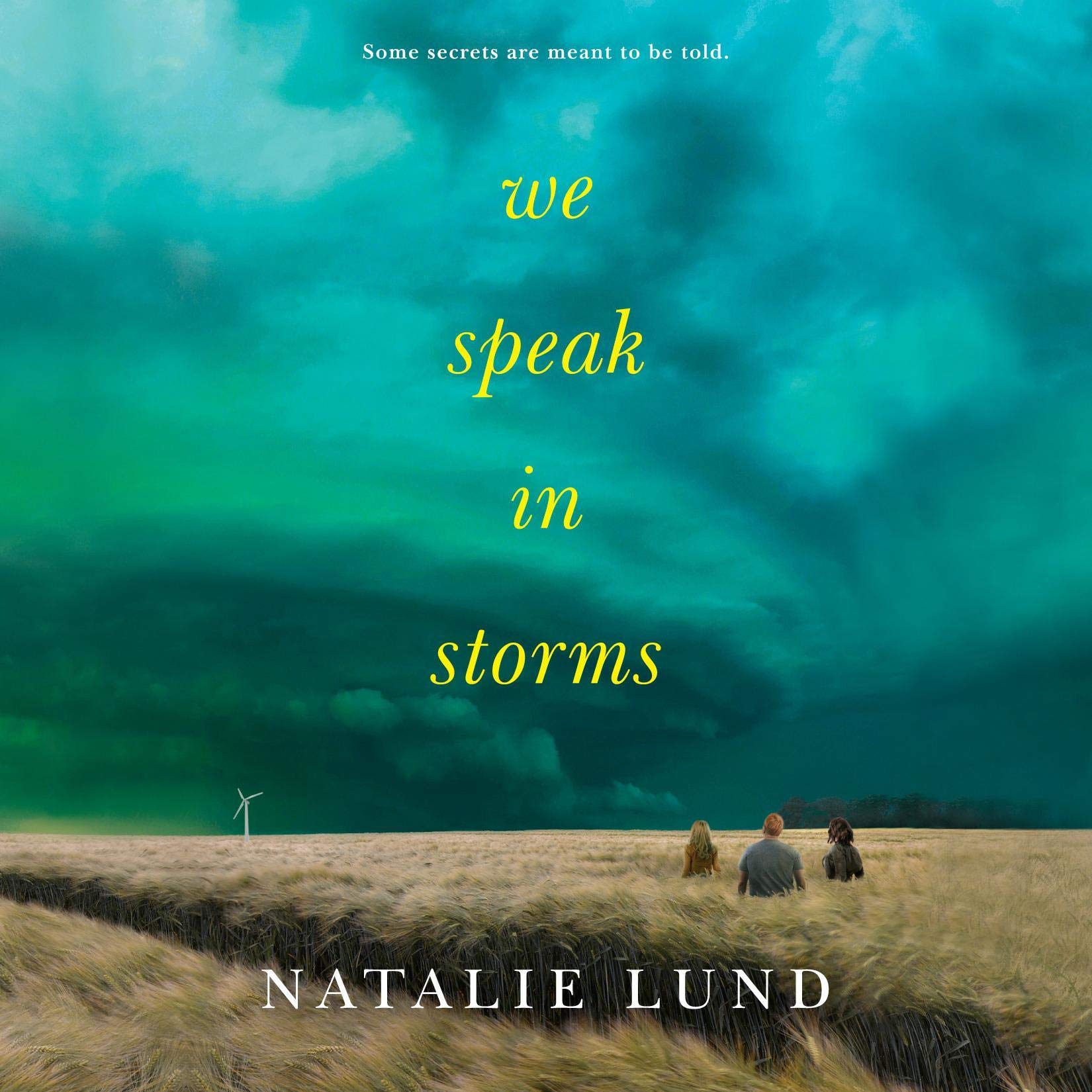 Cover art for We Speak in Storms