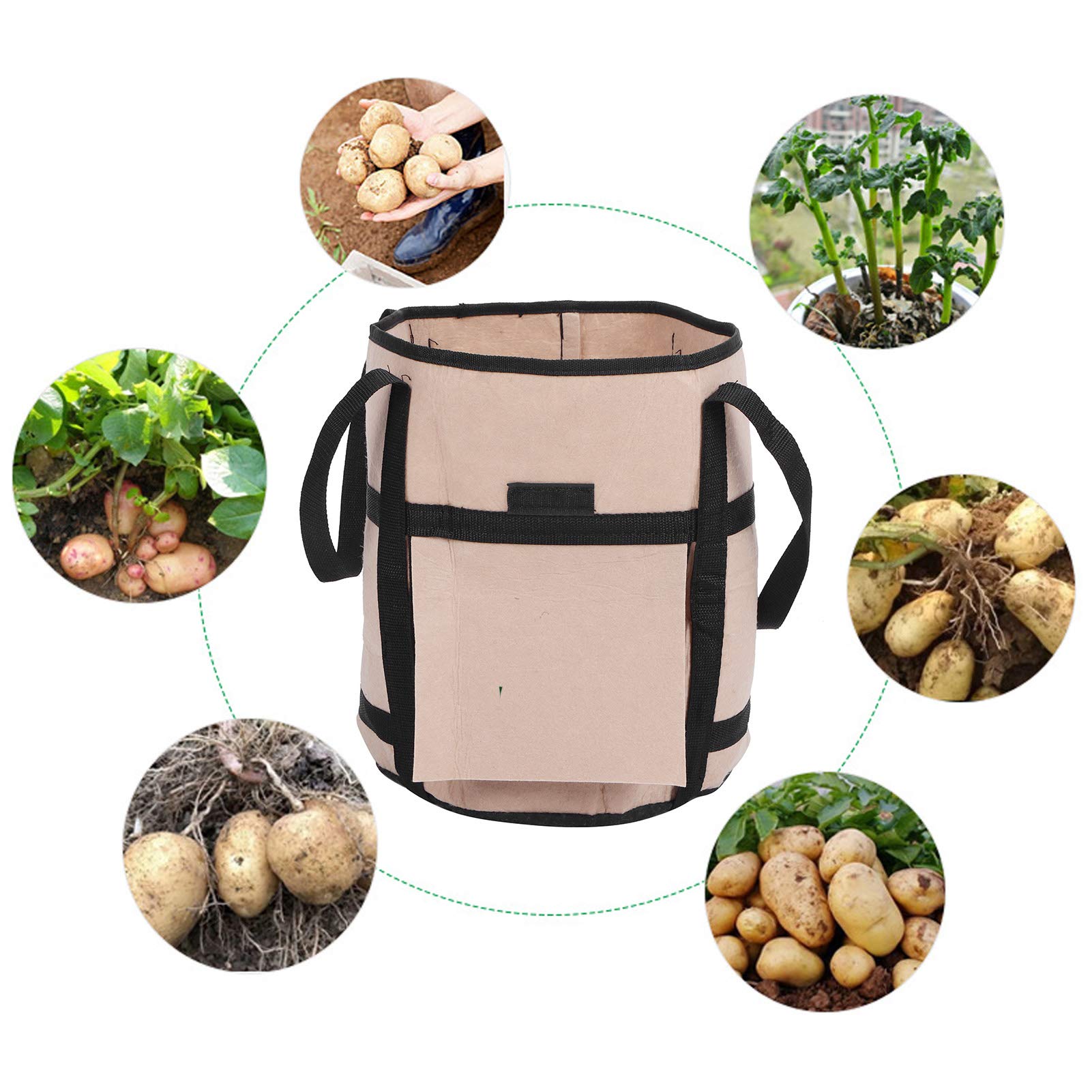 Sacco per coltivazione di patate da 10 galloni, 2 sacchetti per coltivazione di piante da giardino con patta, vaso in tessuto traspirante, nero | Leroy Merlin