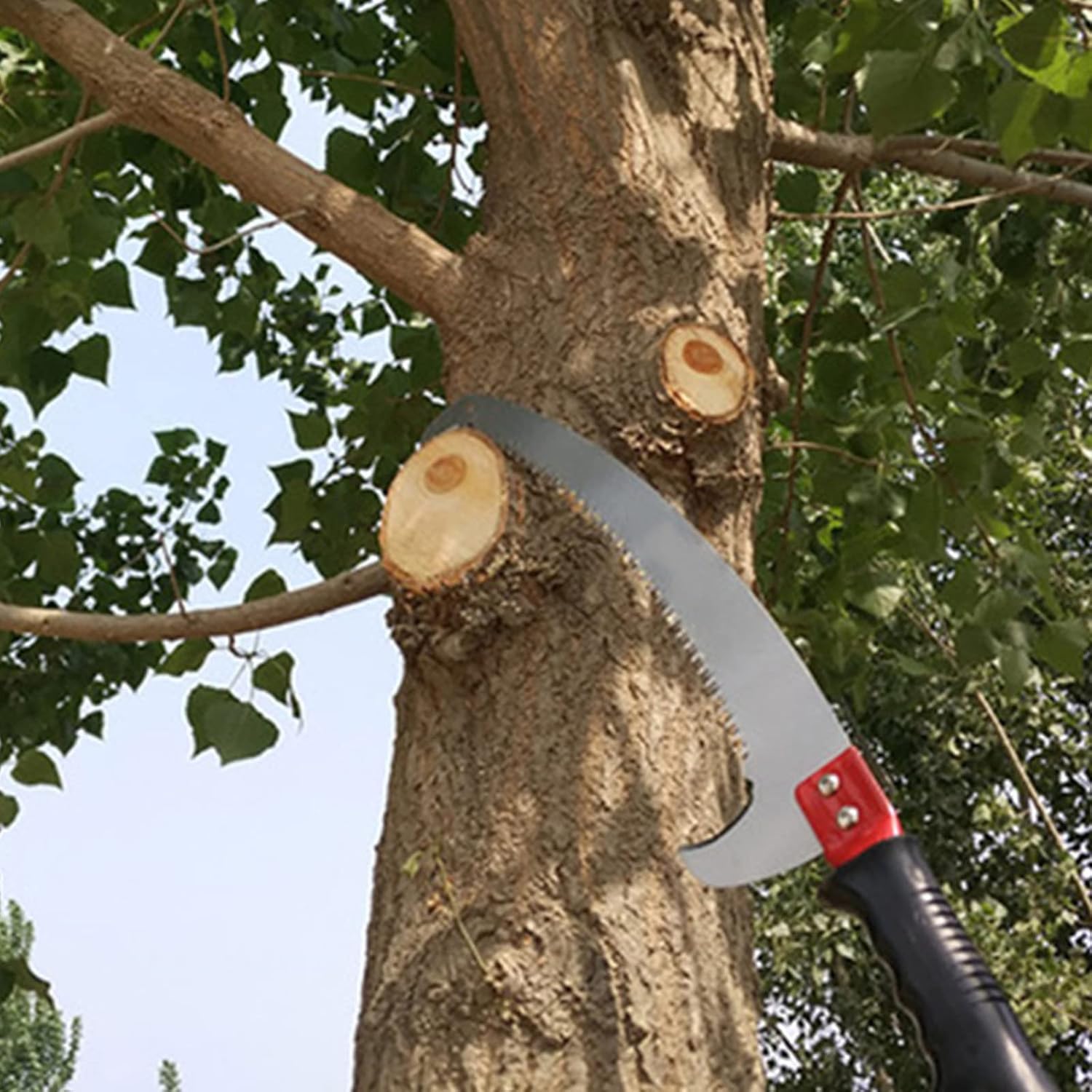 Pruning Saws,Professional Telescopic Tree Pruner,Extendable Pruning Saw Gardening Landscaping Branch Saw Lopper Tools,High-Altitude Branch Trimmer,5.4m/18FT