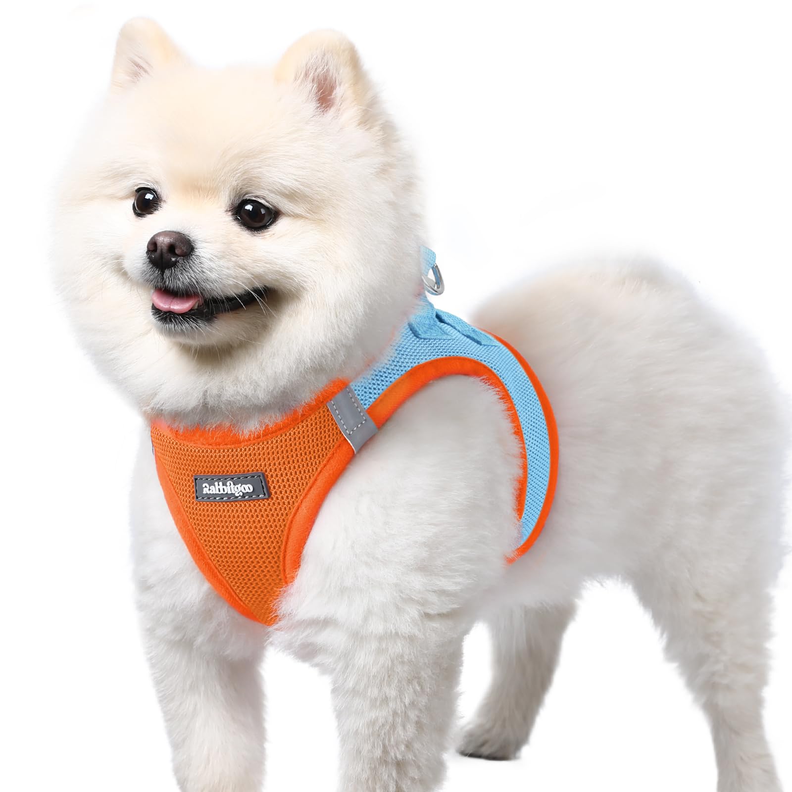 Small Dog Harness