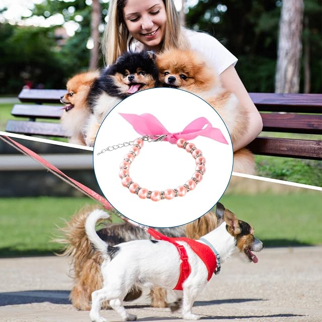 Foto 7 de 8 de Ruilonghai Collares para Mascotas Ajustables