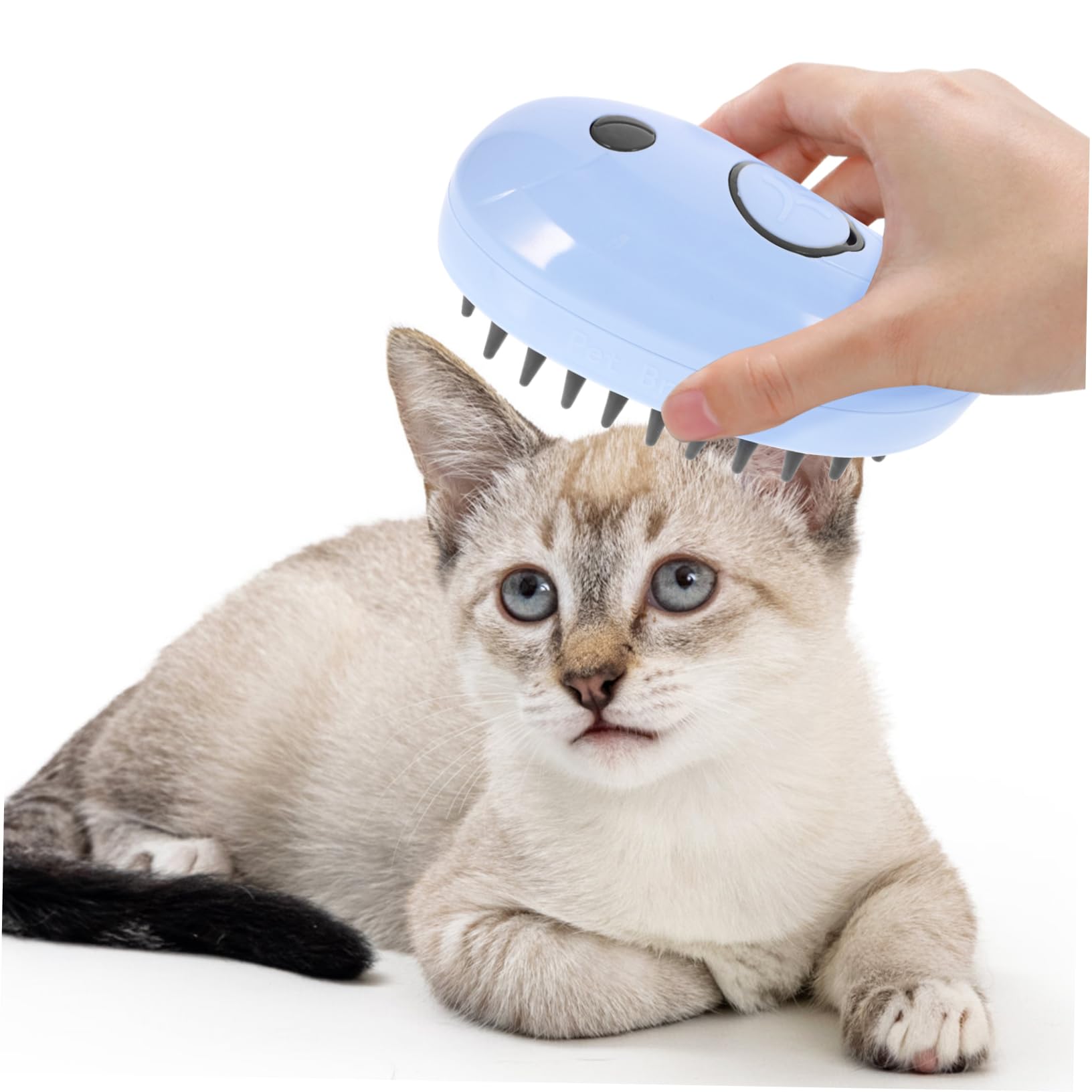 INOOMP 4stücke Multifunktionale Dampfbürste Für Katzen Selbstreinigende Massage Und Pflegebürste Für Katzen Und Kleine Haustiere Design in Blau Für Fellpflege Und Entspannung
