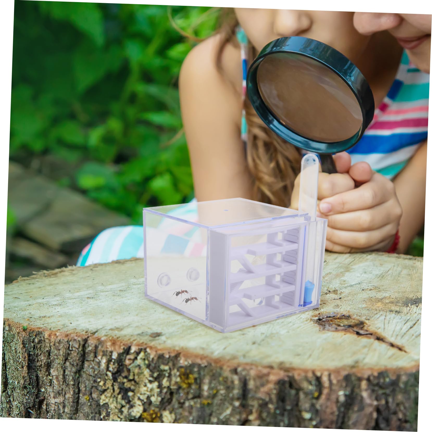 BESTonZON Fourmilière en Acrylique Observation Facile, Trousse Éducative pour Enfants, Jouet Scientifique